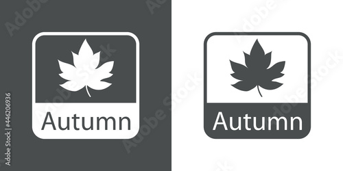 Icono con texto Autumn con silueta de hoja de arce en cuadrado en fondo gris y fondo blanco