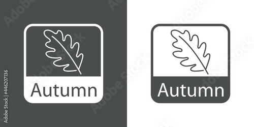 Icono con texto Autumn con silueta de hoja de roble en cuadrado en fondo gris y fondo blanco