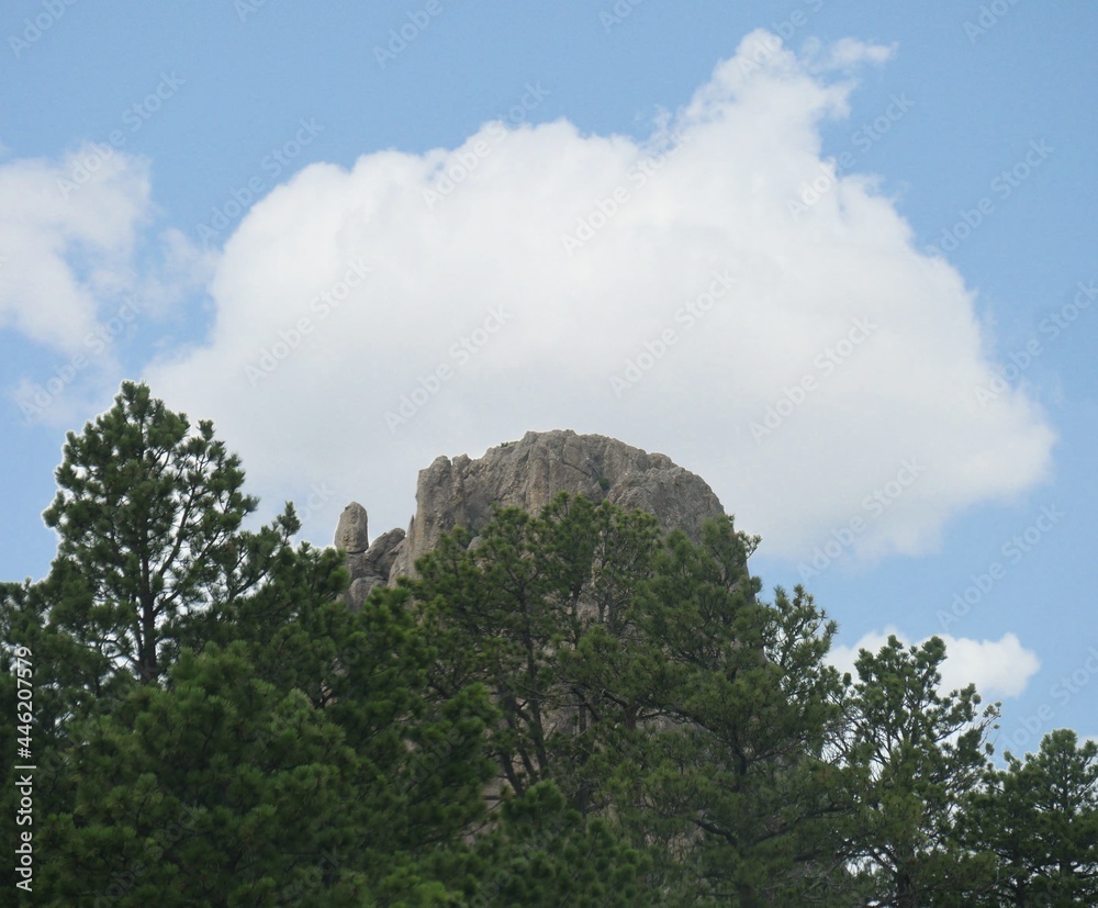 Geologic and rock formation covered by pine trees in South Dakota