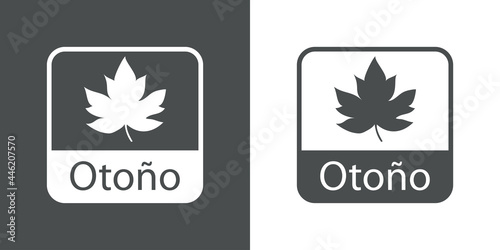 Icono con texto Otoño en español con silueta de hoja de arce en cuadrado en fondo gris y fondo blanco