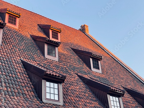 European house roof