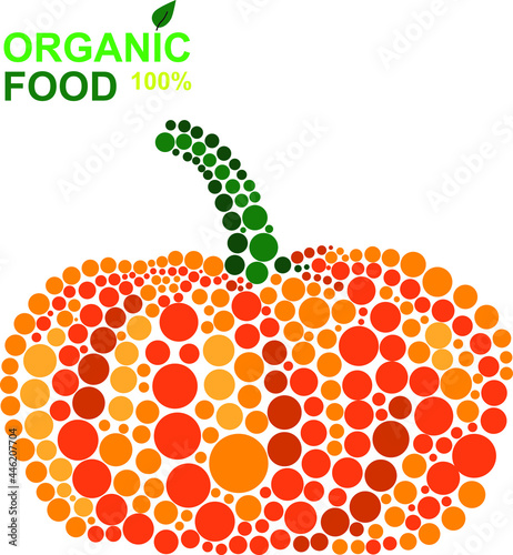 organic food pumpkin natural