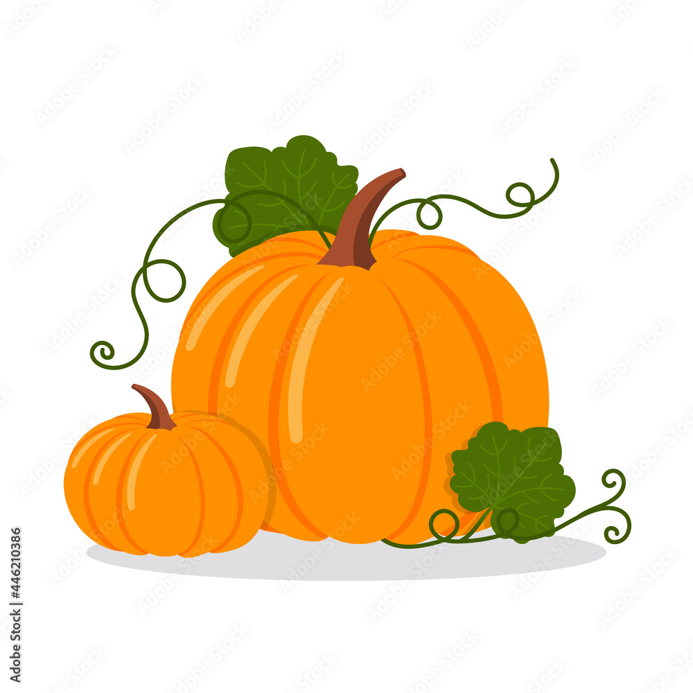 Pumpkins, isolated flat vector illustration Pumpkins, isolated flat vector illustration