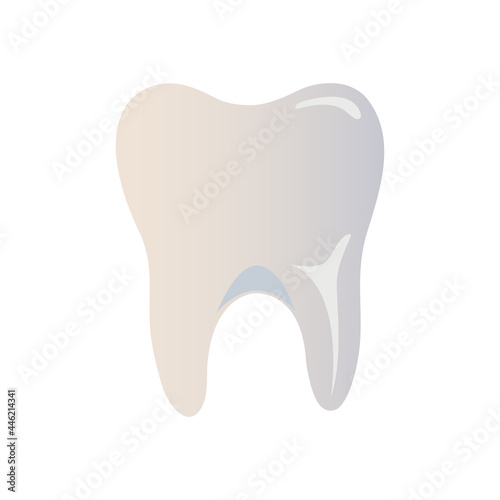 Human tooth. Illustration isolated on white background.
