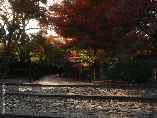 紅葉とお寺の境内の様子
