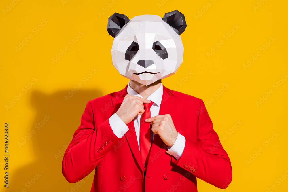 Photo of successful panda bear guy adjust tie wear mask head red suit tie  isolated on yellow color background Stock Photo | Adobe Stock