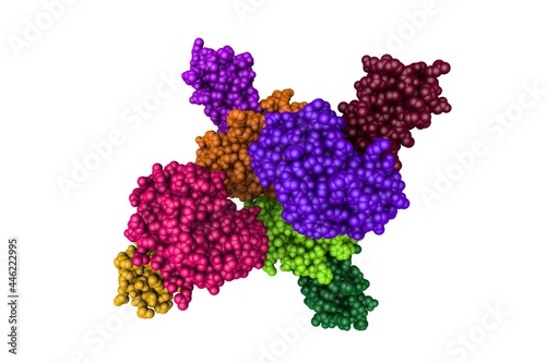 Molecular model of human mesotrypsin in a complex with bovine pancreatic trypsin inhibitor. Rendering with differently colored protein chains based on protein data bank. 3d illustration photo