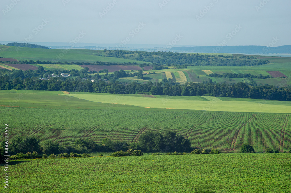 Beautiful summer landscape, fields in the countryside
