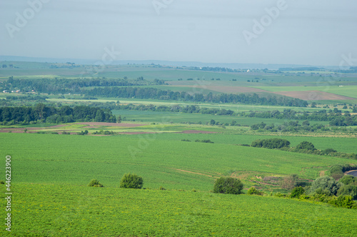 Beautiful summer landscape, fields in the countryside