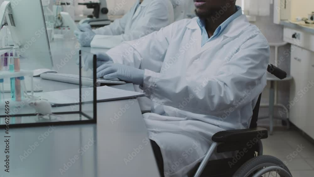Tilt up slowmo of disabled African-American male scientist in white coat and gloves working on computer in laboratory while his female colleagues doing their research Lab rat is in glass tank Tilt up slowmo of disabled African-American male scientist in white coat and gloves working on computer in laboratory while his female colleagues doing their research Lab rat is in glass tank