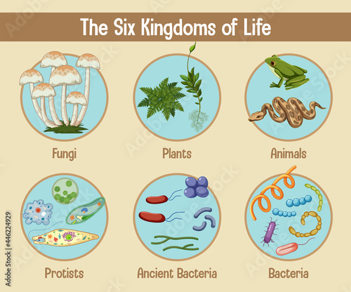 Science poster of six kingdoms of life photo