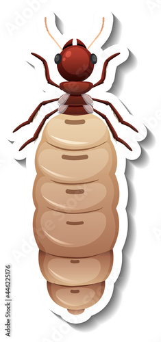 A sticker template with top view of primary queen termite isolated