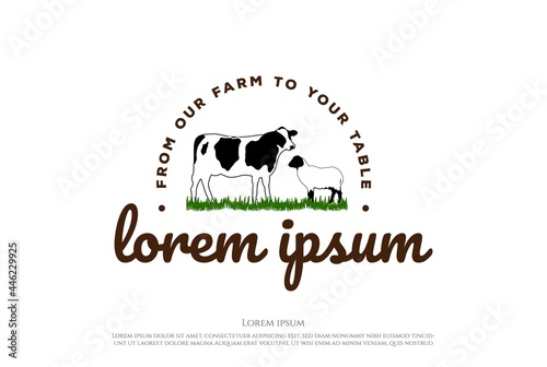 Vintage Angus Cow Bull with Sheep Lamb Goat for Cattle Livestock Farm Logo Design Vector