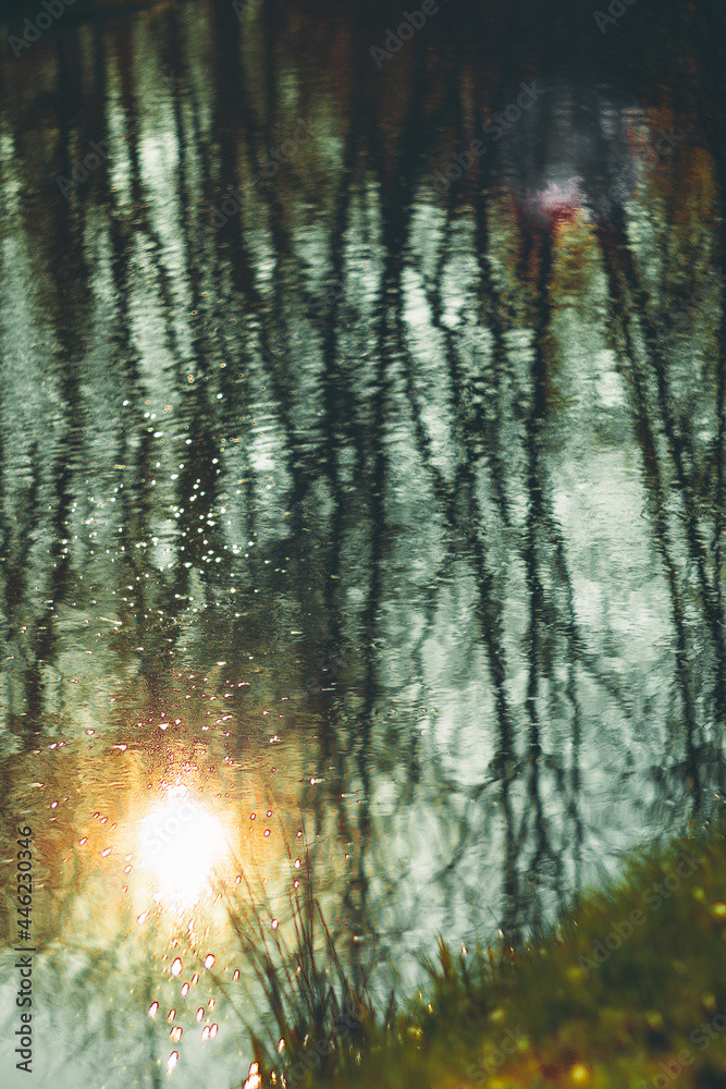 Obraz premium trees reflection on the lake