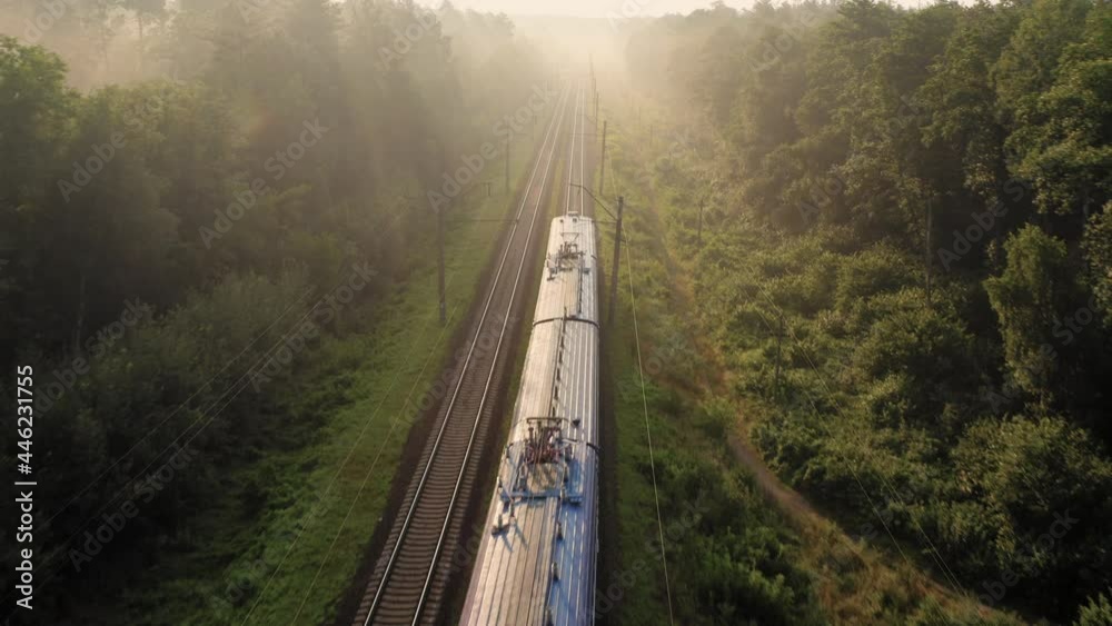 A freight train is moving at high speed through the woods. Aerial view.