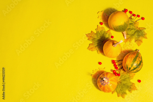 Autumn decoration background with pumpkins  leaves  and berries
