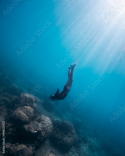 Freediver diving to the bottom photo