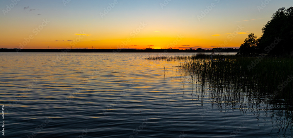 Panoramic summer sunset view of Jezioro Selmet Wielki lake landscape with reeds and wooded shoreline in Sedki village in Masuria region of Poland
