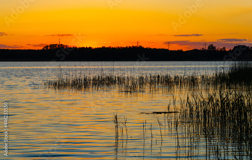 Panoramic summer sunset view of Jezioro Selmet Wielki lake landscape with reeds and wooded shoreline in Sedki village in Masuria region of Poland