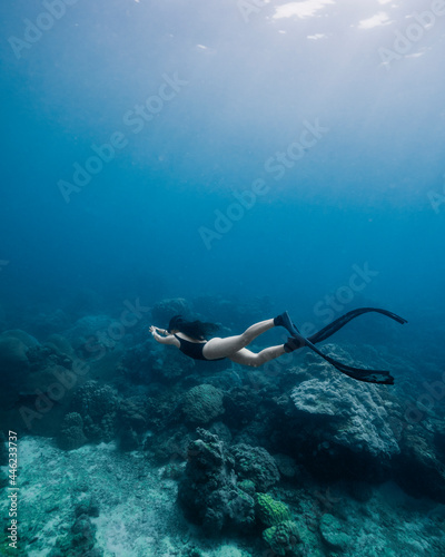 freediver swimming in reef 