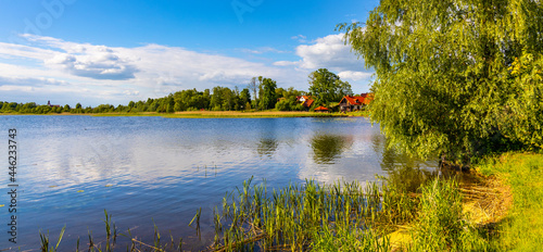 Fototapeta Naklejka Na Ścianę i Meble -  Panoramic summer view of Jezioro Selmet Wielki lake landscape with reeds and wooded shoreline in Sedki village in Masuria region of Poland