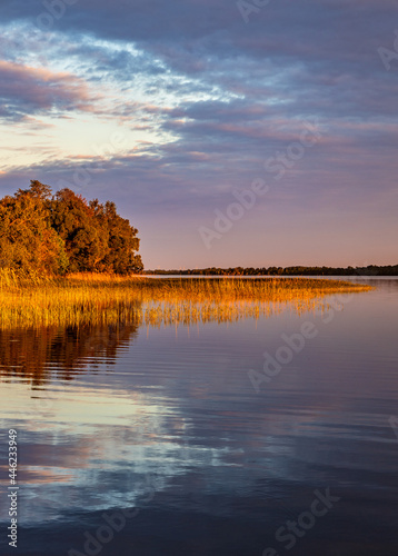 Fototapeta Naklejka Na Ścianę i Meble -  Panoramic summer sunset view of Jezioro Selmet Wielki lake landscape with reeds and wooded shoreline in Sedki village in Masuria region of Poland