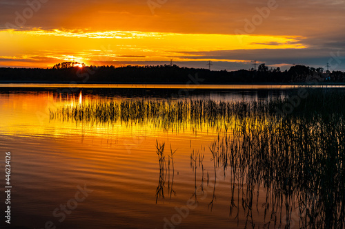 Fototapeta Naklejka Na Ścianę i Meble -  Panoramic summer sunset view of Jezioro Selmet Wielki lake landscape with reeds and wooded shoreline in Sedki village in Masuria region of Poland