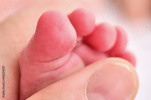 Finger on the hand of an adult and toes on the foot of a newborn baby  macro photo