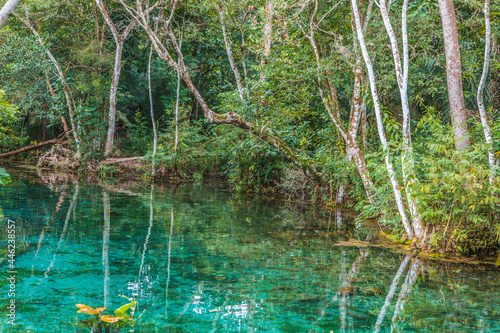 Bonito - Mato Grosso do Sul, Brasil