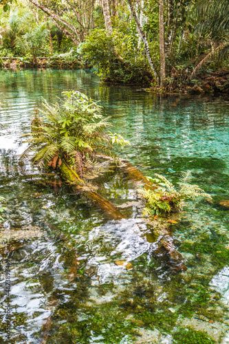 Bonito - Mato Grosso do Sul, Brasil
