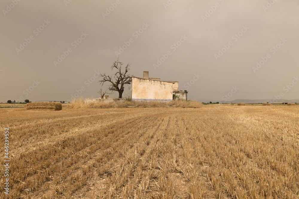 Fototapeta premium An abandoned house and dead tree on the field with straw bales in summer.
