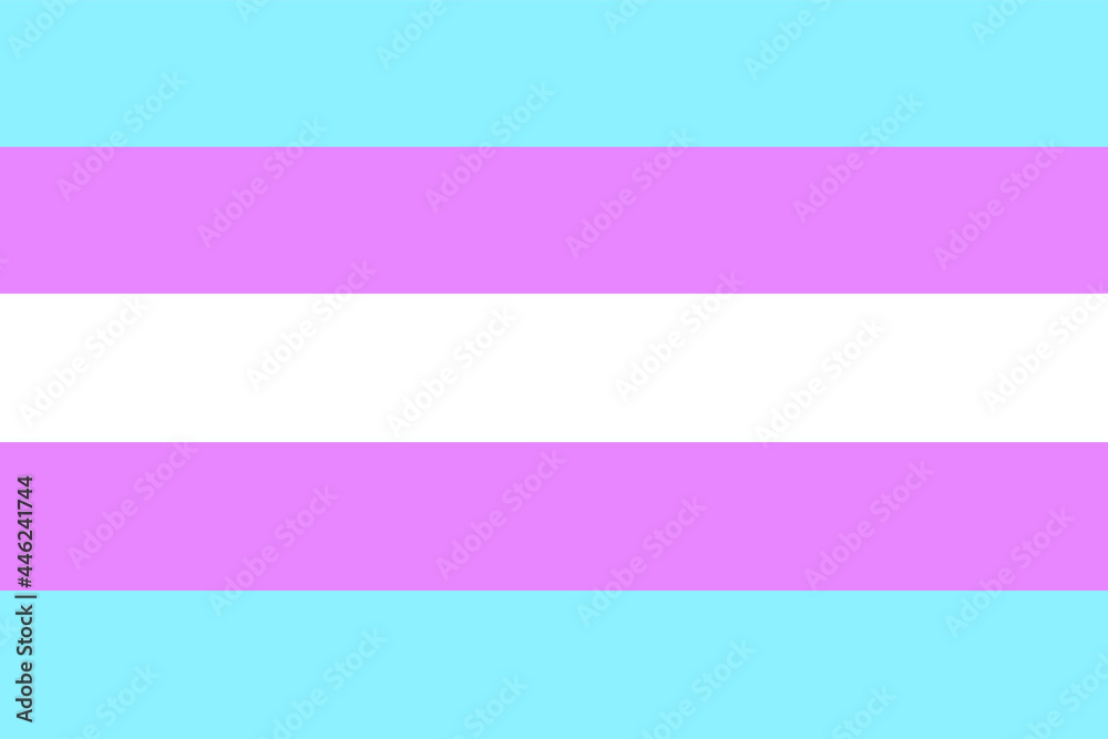 Transgender pride flag vector illustration Transgender pride flag vector illustration