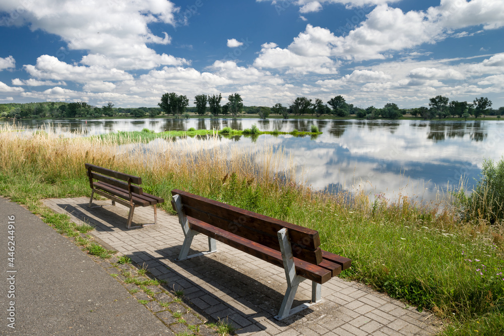 Obraz premium Logenplatz in Damnatz an der Elbe Niedersachsen