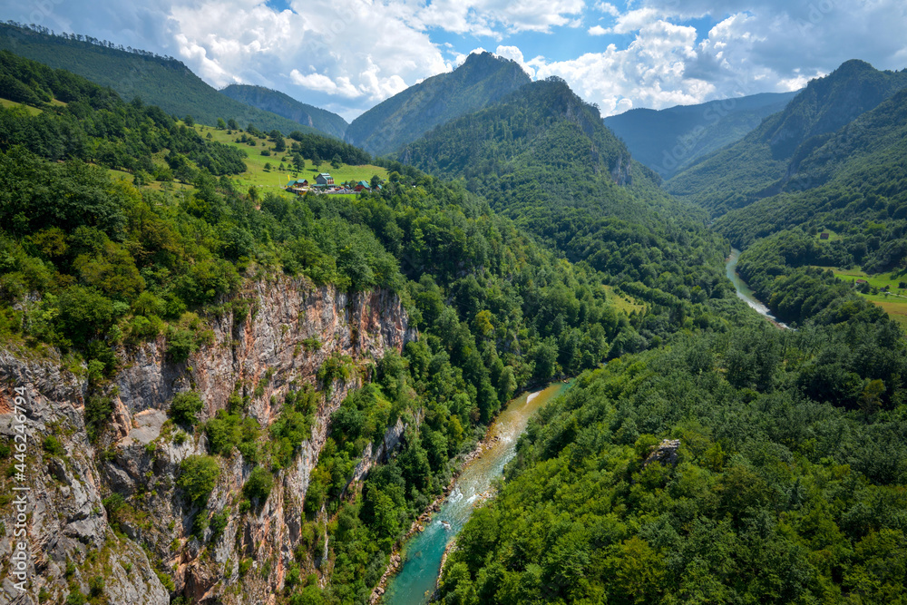 Picturesque canyon of the Tara river among the high mountains covered with green forest. Montenegro.