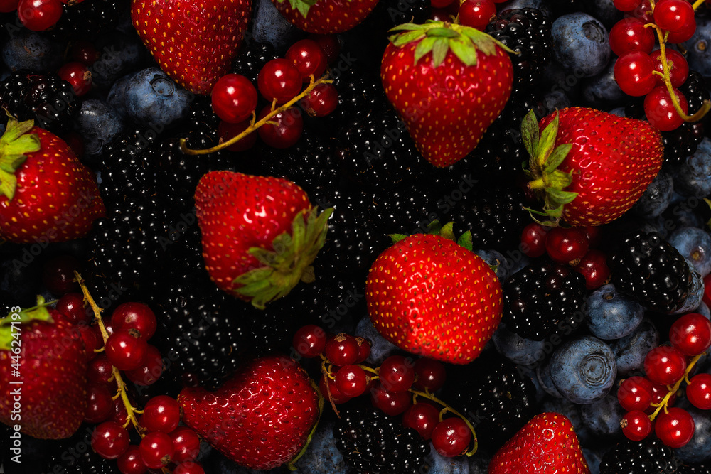 Blackberry, raspberry, blueberry, red currant and mint background. Blackberry, raspberry, blueberry, red currant and mint background.