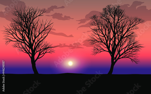 tree silhouette at sunset