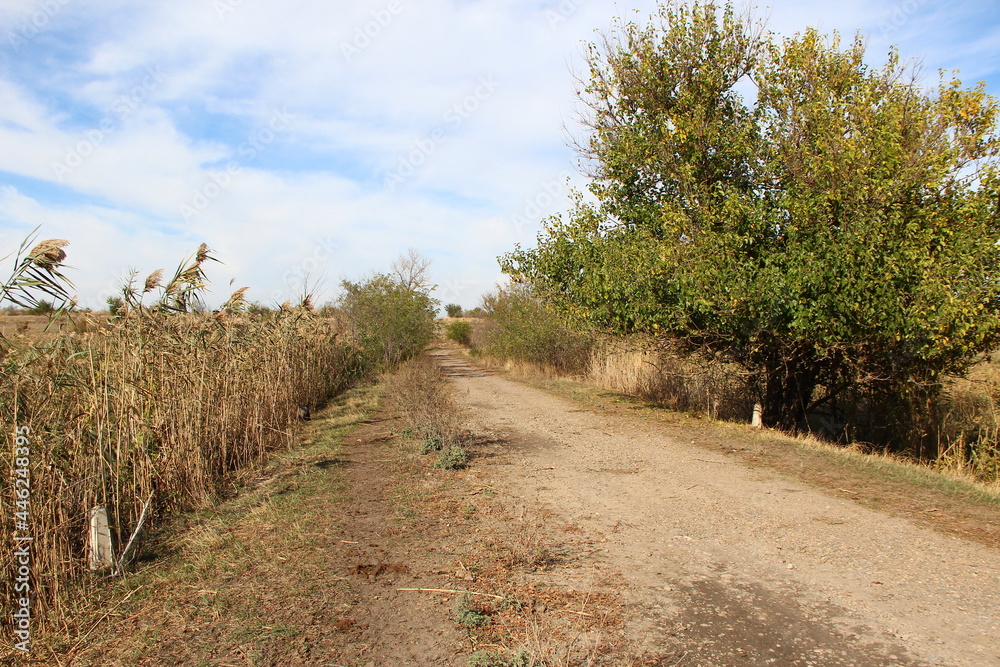 Fototapeta premium Rural road passing through a natural area