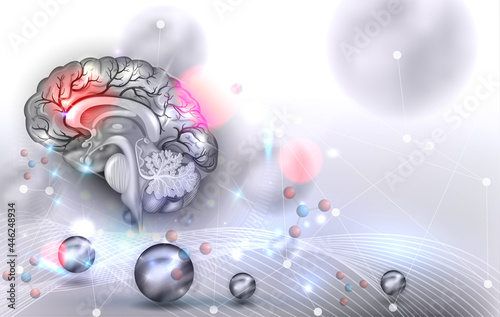 Human brain anatomy illustration on an abstract scientific background with balls, lights and lines. Beautiful grey color with some red and light blue lights.