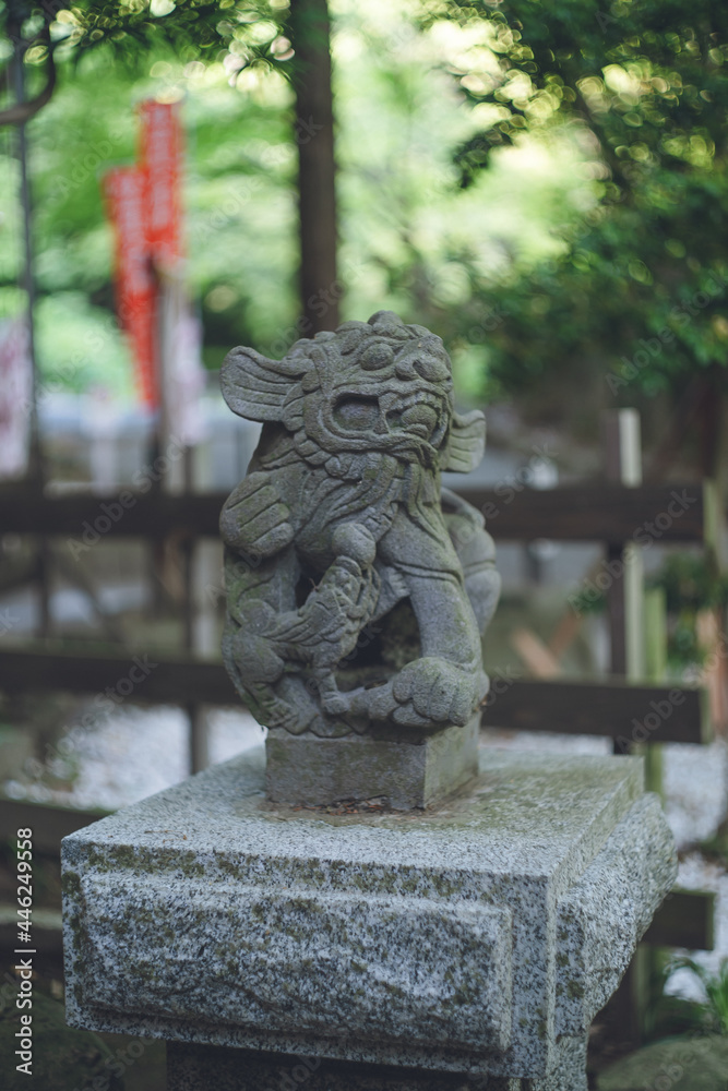 光の道で有名な福岡県福津市の宮地嶽神社（みやじだけじんじゃ）の狛犬