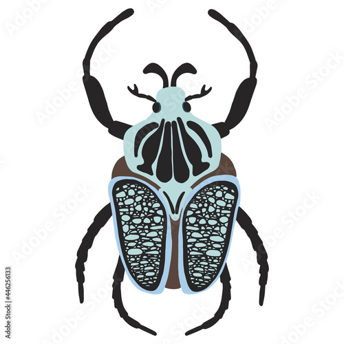 Goliathus regius beetle, vector illustration isolated on a white background
