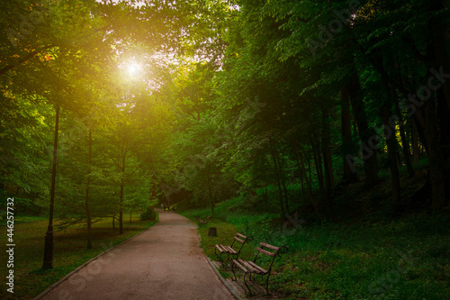 morning sun rise time in picturesque beautiful park landscape environment space with walking area road and wooden benches and no people here