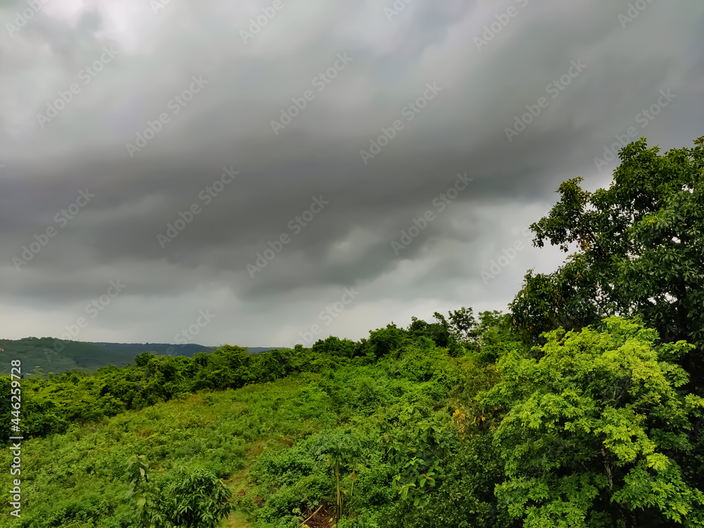 Nature view includes green plants and fields under the rain cloud