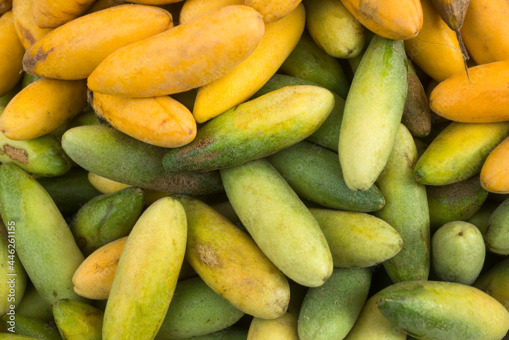 Curubas organic fruits in the traditional Colombian market - Passiflora tripartita