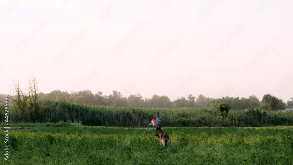 Caucasian young man with beard and dreadlocks tries to launch kite into air in field and German Shepherd dog looks at him carefully and then leaves. Slow motion 4k video. LGBT flag kite. Caucasian young man with beard and dreadlocks tries to launch kite into air in field and German Shepherd dog looks at him carefully and then leaves. Slow motion 4k video. LGBT flag kite.