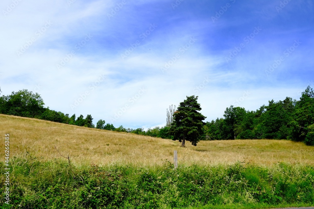 Fototapeta premium PAYSAGE HAUTE LOIRE CAMPAGNE
