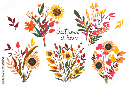 Set of autumn bouquets isolated on a white background. Vector graphics.