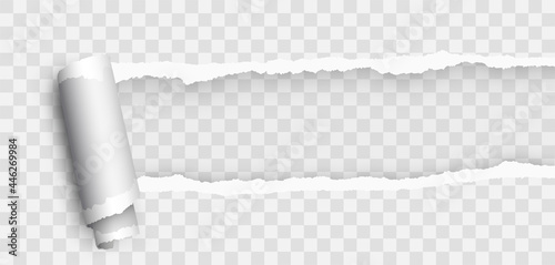 Realistic blank curled tear paper. Torn paper edge. Realistic torn paper with rollled edge. Ripped paper - stock vector.