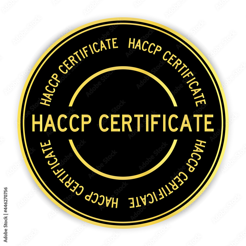 Black and gold color round label sticker with word HACCP certificate on white background