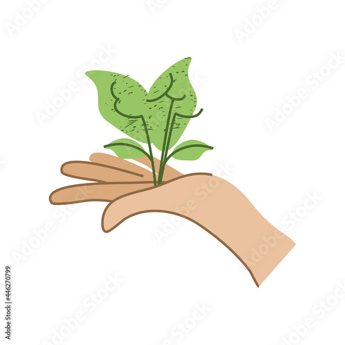 hand holds plant