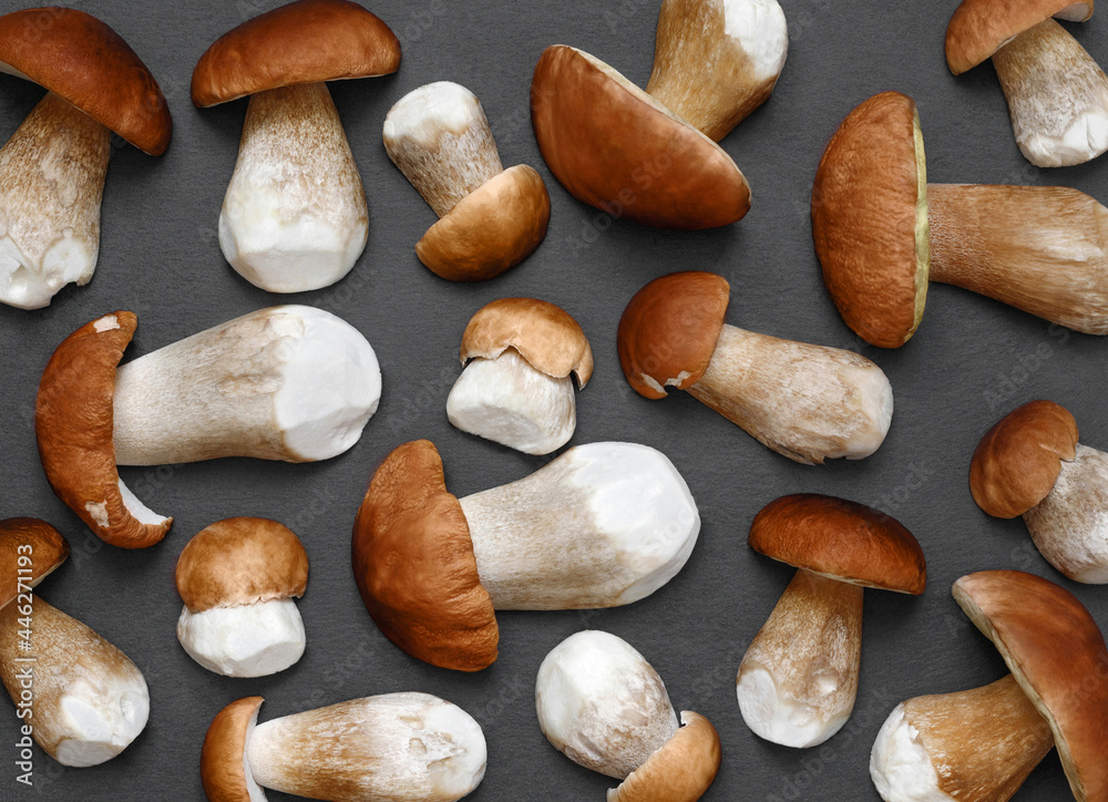 Mushrooms background. Boletus or cep on a gray background close up. Mushroom pattern. Top view, flat lay. Mushrooms background. Boletus or cep on a gray background close up. Mushroom pattern. Top view, flat lay.